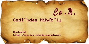 Csöndes Mihály névjegykártya